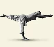 yoga sadhana special programs (2)